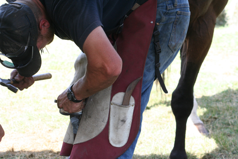 The Shoebox Farrier